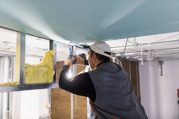 Best Insulation Repair Services  in Nocatee, FL