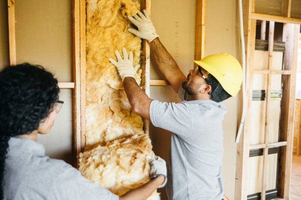 Best Cellulose Insulation  in Nocatee, FL