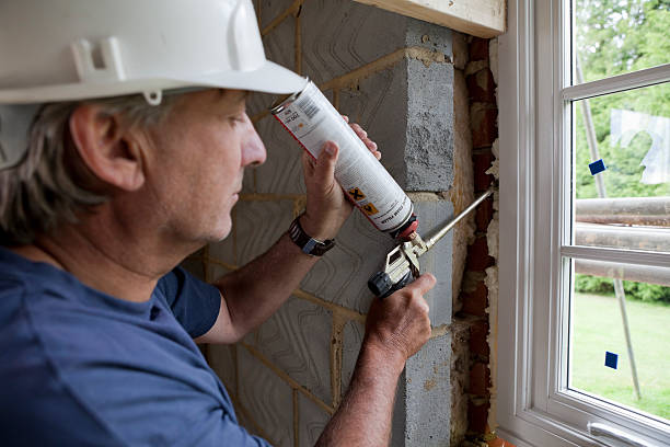 Best Energy-efficient Insulation  in Nocatee, FL