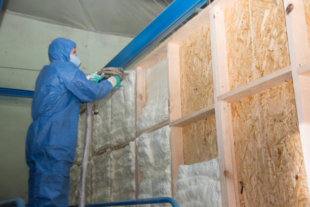 Best Spray Foam Insulation  in Nocatee, FL