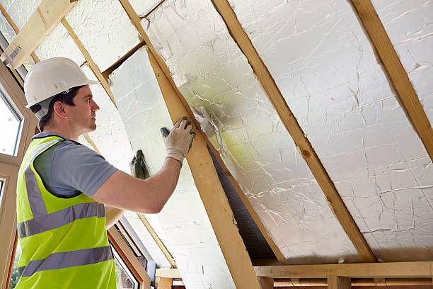 Best Home Insulation Services  in Nocatee, FL