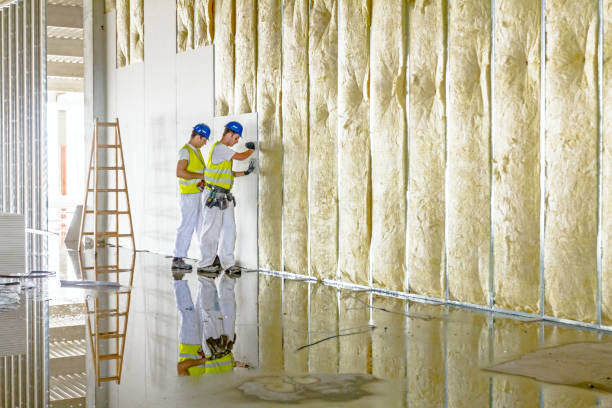 Best Insulation Replacement Services  in Nocatee, FL